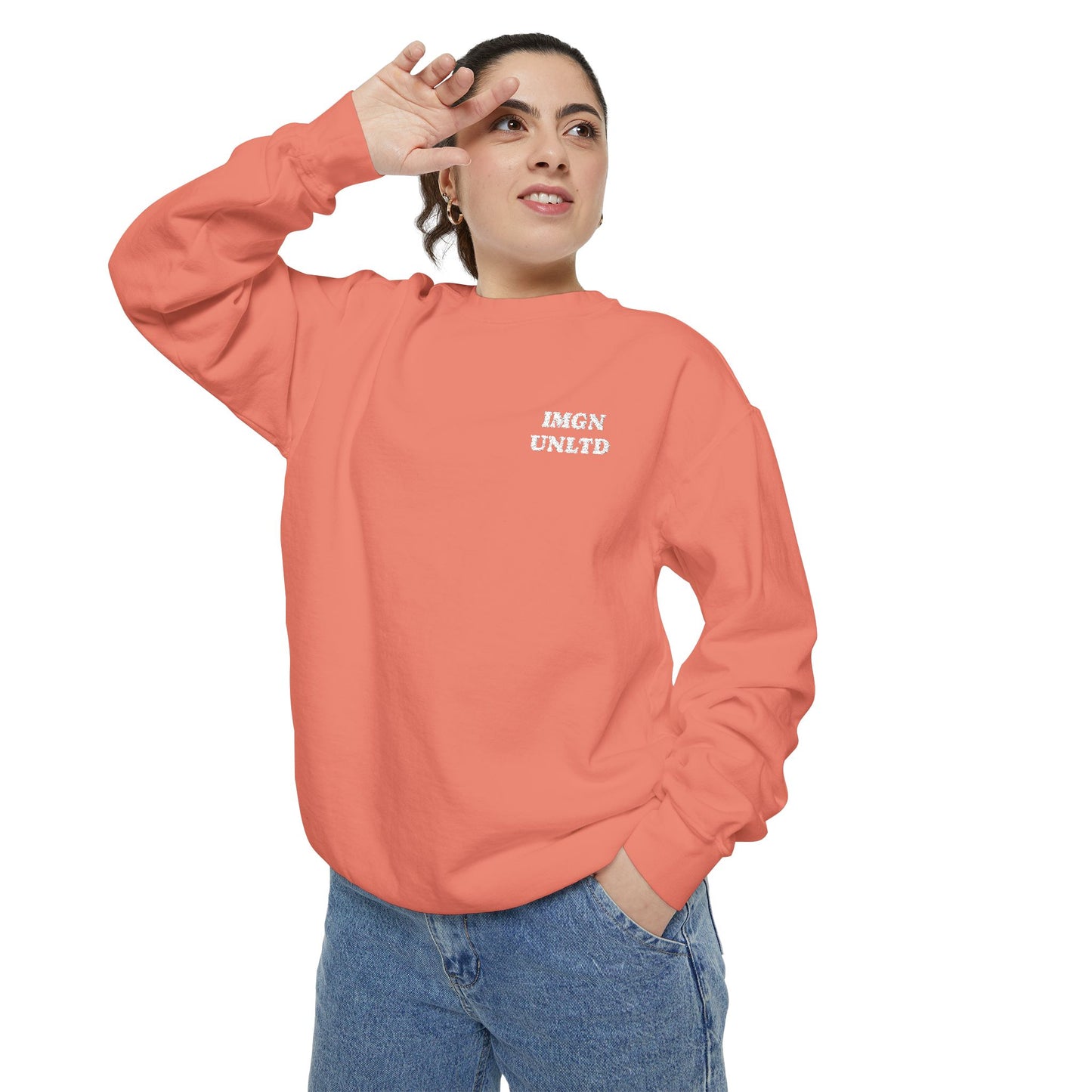 IMGN UNLTD - Embroidered Crewneck