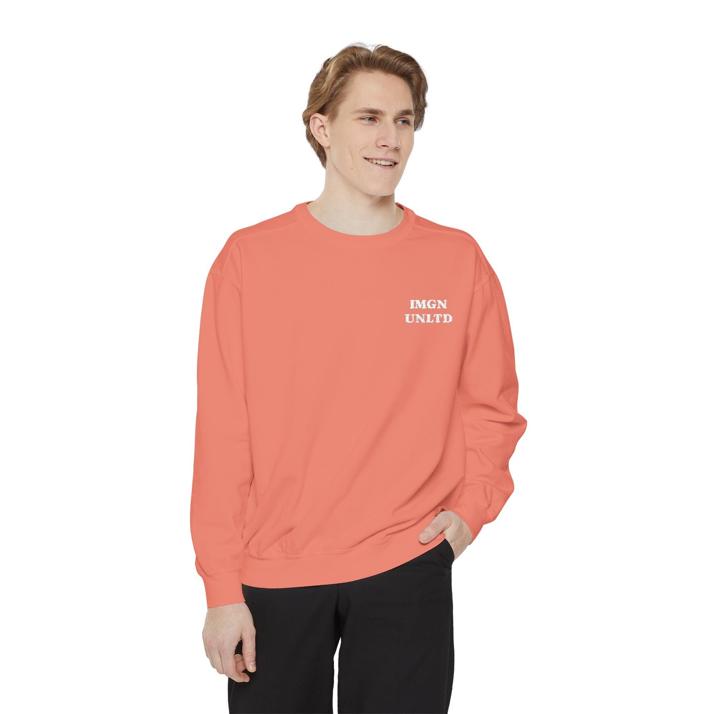 IMGN UNLTD - Embroidered Crewneck