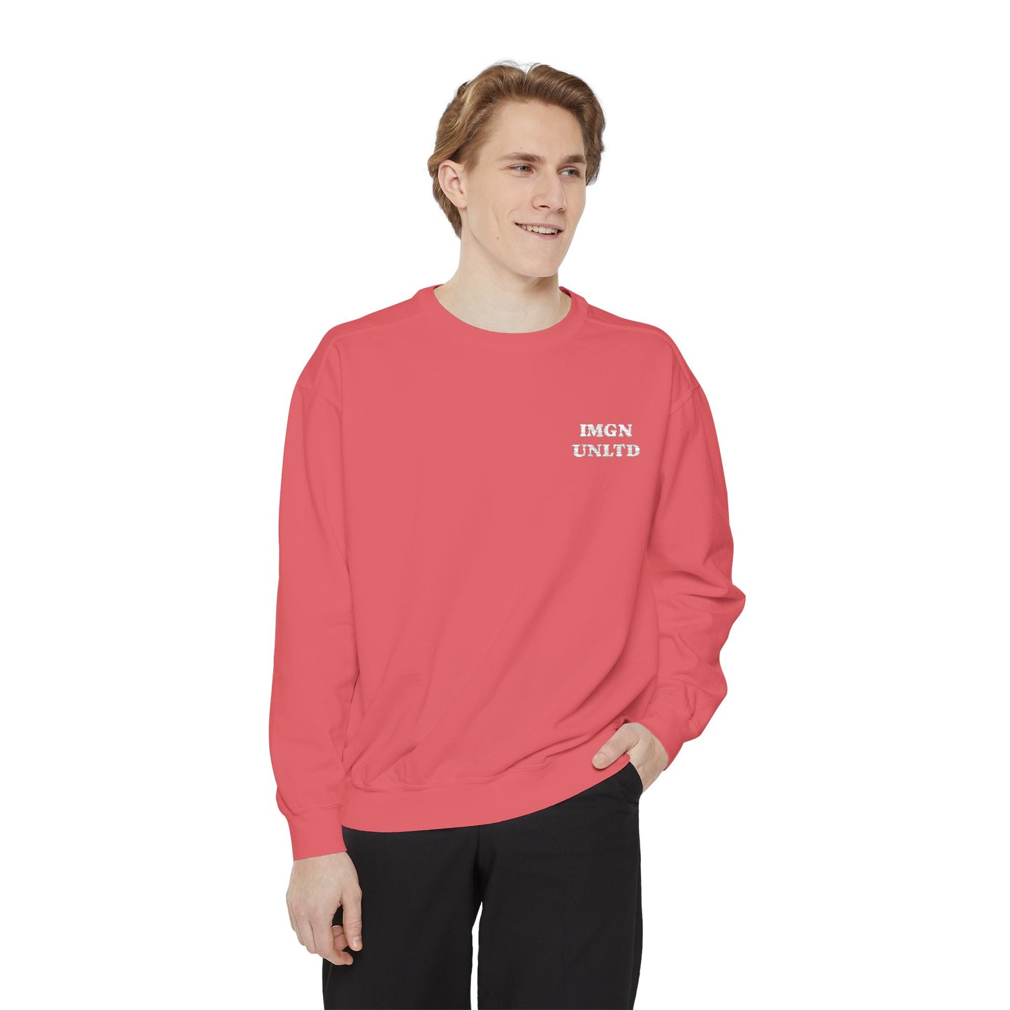 IMGN UNLTD - Embroidered Crewneck