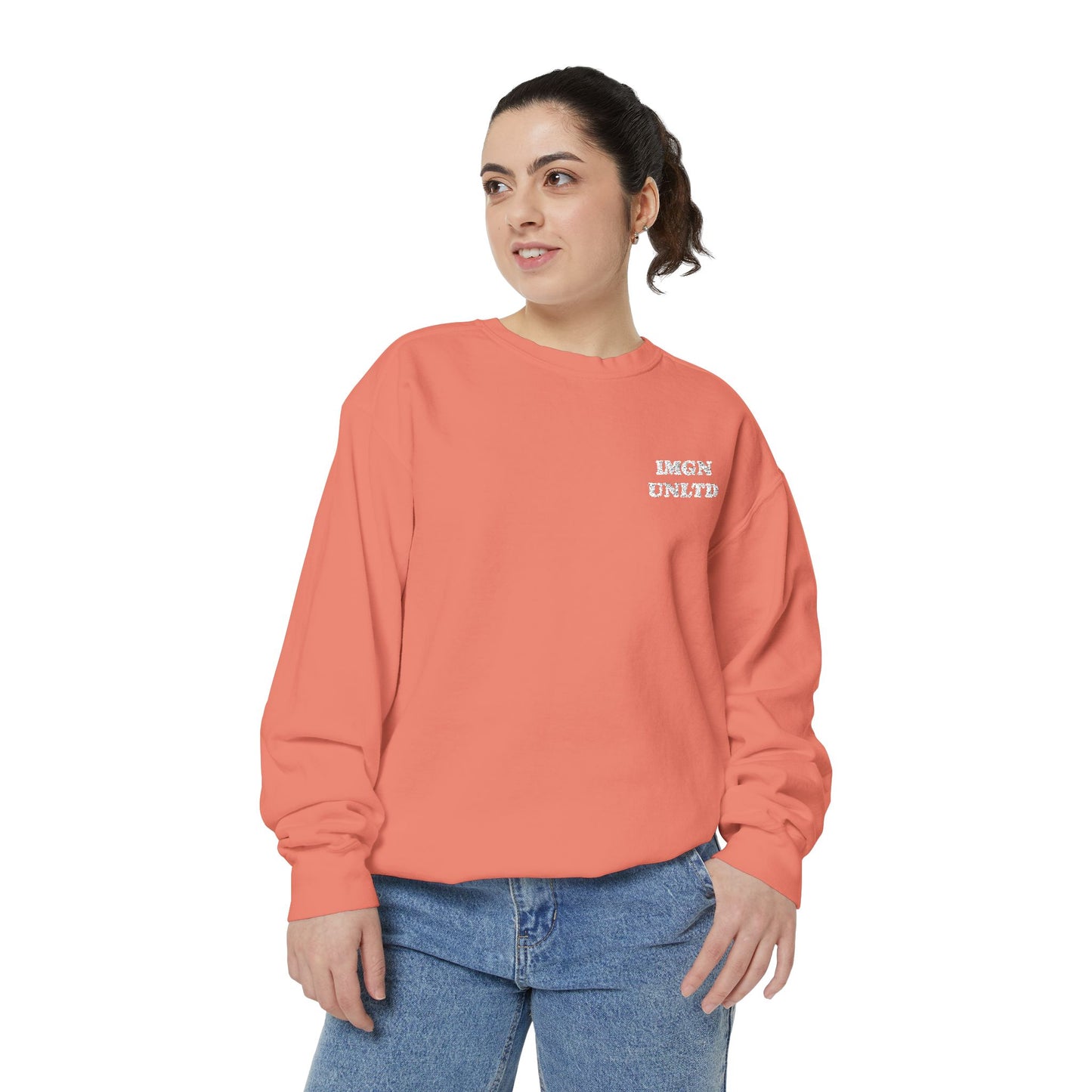 IMGN UNLTD - Embroidered Crewneck
