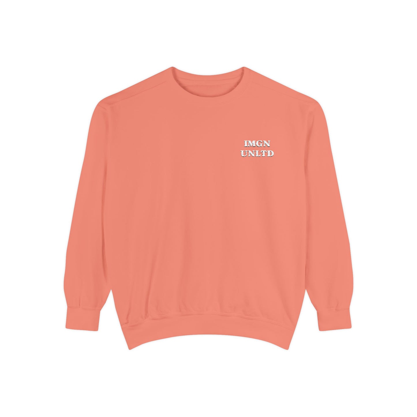 IMGN UNLTD - Embroidered Crewneck